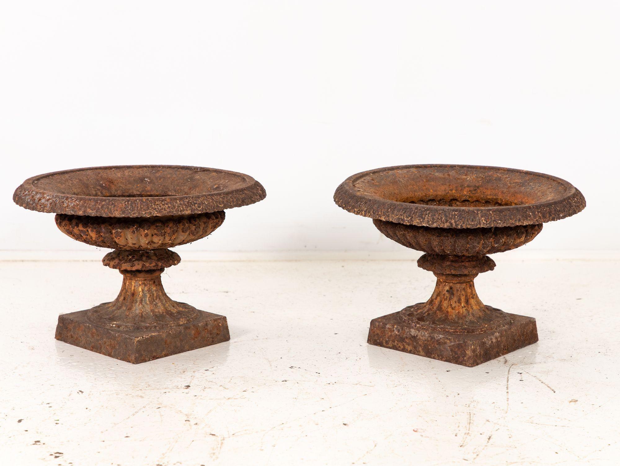 Pair of Neoclassical Cast Iron Urns, French early 20th C. For Sale 3