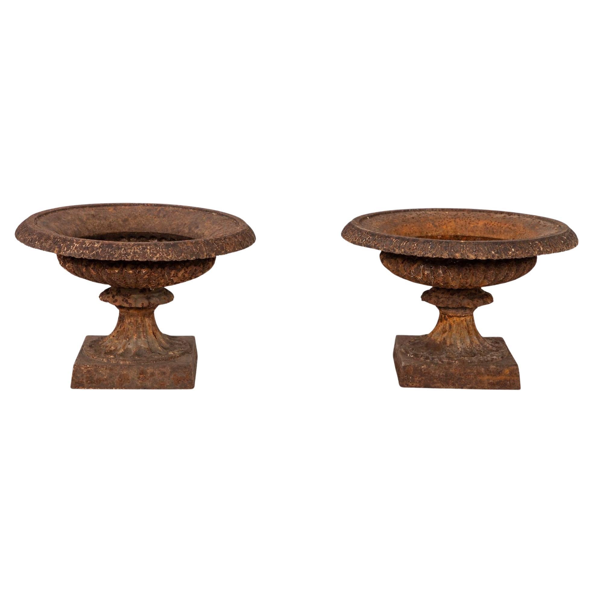 Pair of Neoclassical Cast Iron Urns, French early 20th C.