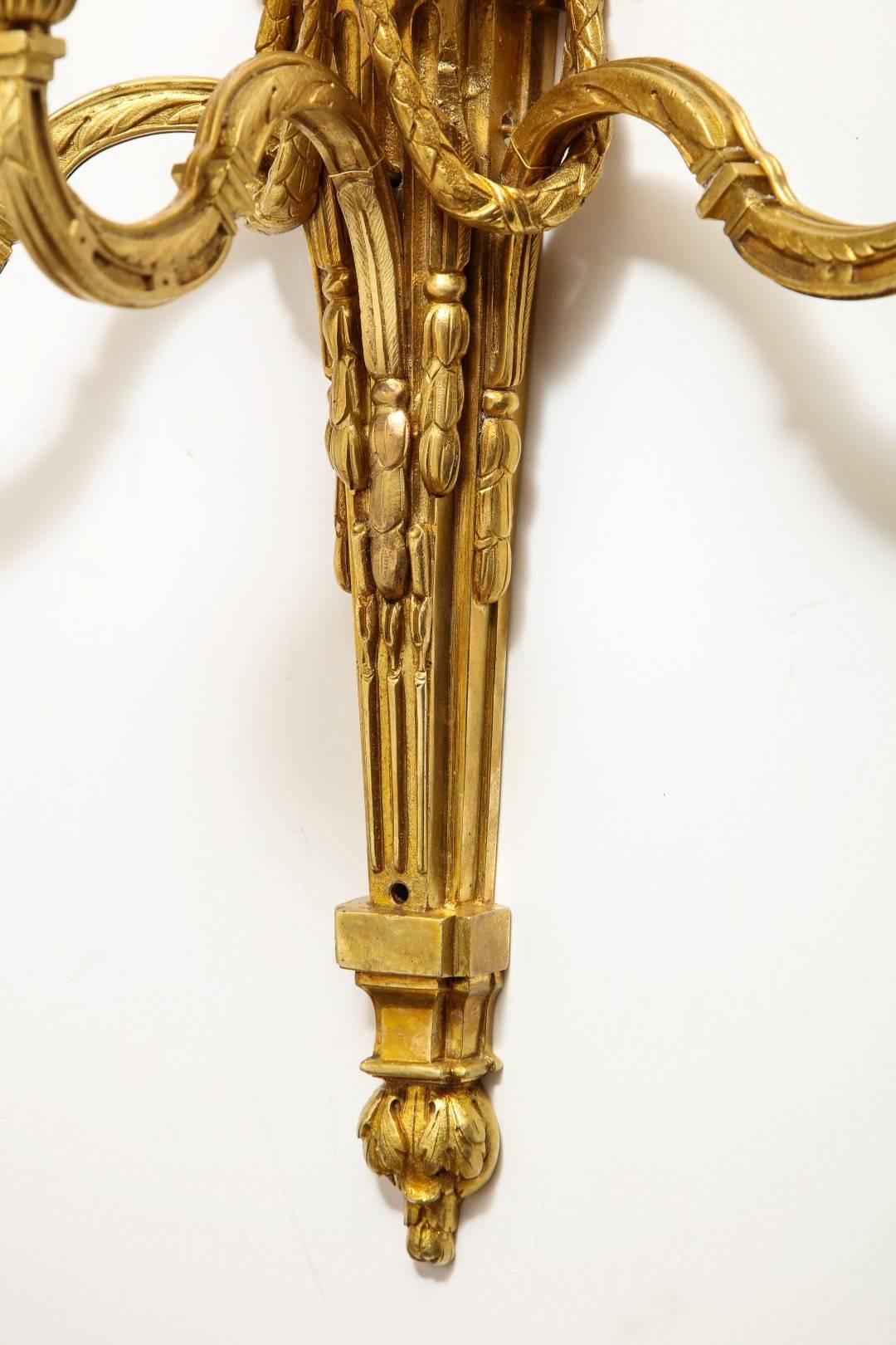 Late 19th Century Pair of Neoclassical Gilt Bronze Sconces