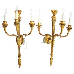 Pair of Neoclassical Gilt Bronze Three-Light Sconces