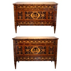 Antique Pair of neoclassical Italian chests of drawers in inlaid wood, XVIII century