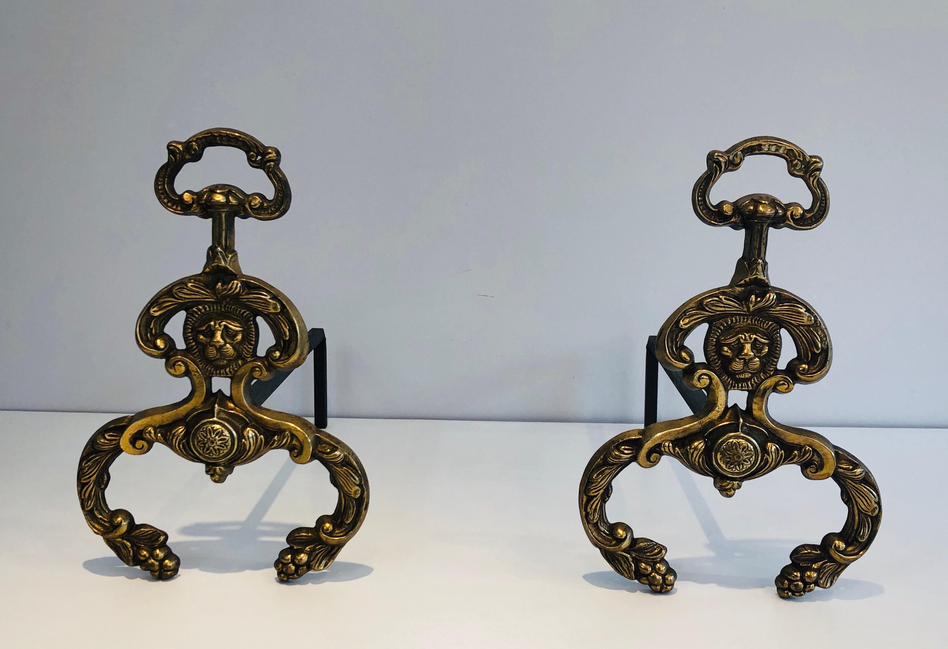 Pair of Neoclassical Style Bronze and Wrought IronAndirons with Lions Faces. F For Sale 9