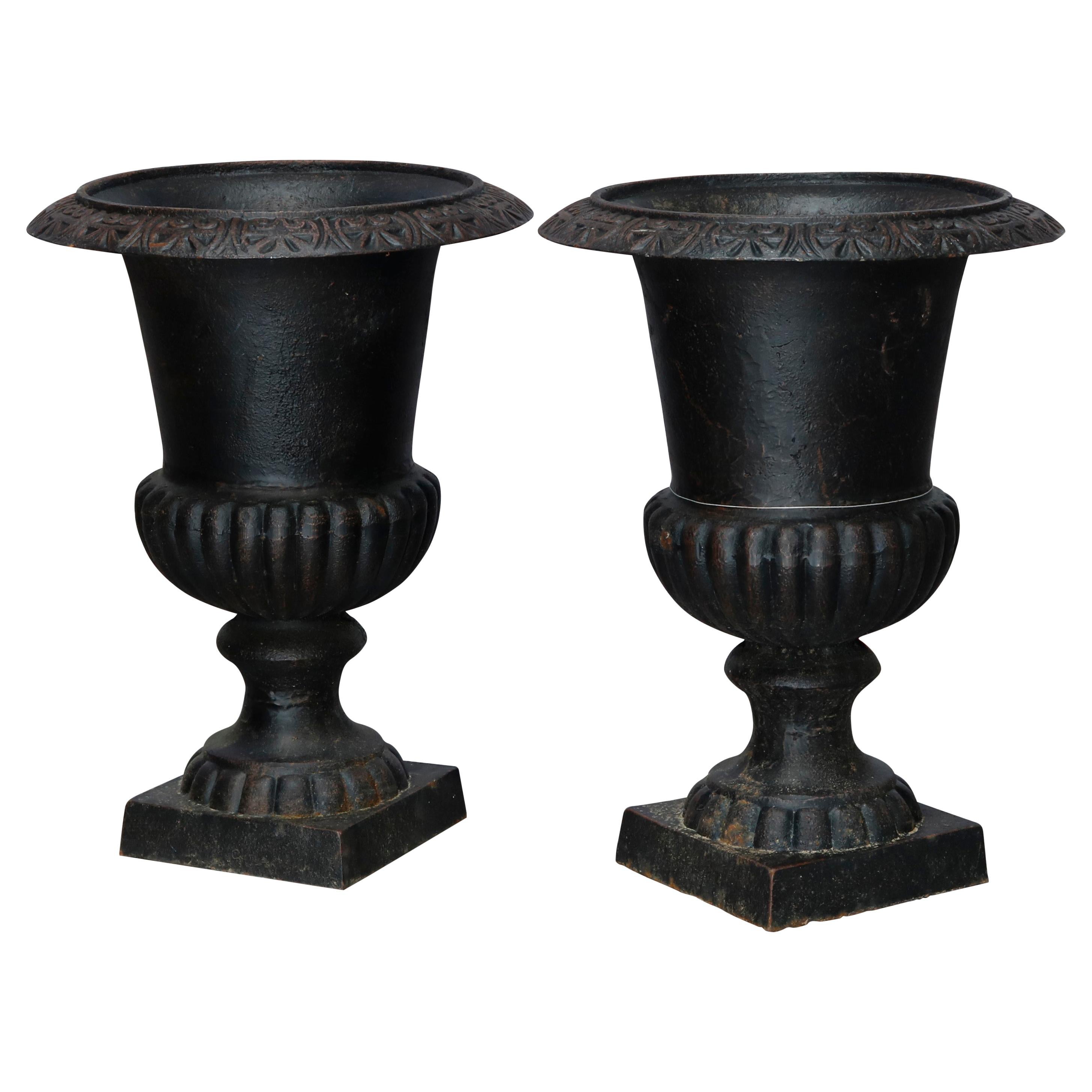 Pair of Neoclassical Style Melon Ribbed Cast Iron Garden Urns, 20th C