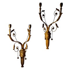 Used Neoclassical Wall Sconces