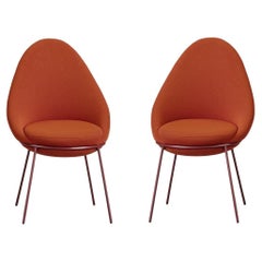 Pair of Nest Chairs by Paula Rosales