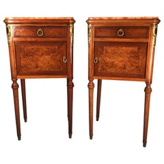 Pair of Nightstands, Early Art Nouveau Style, France, 19th century Antique Pair of Nightstands, Early Art Nouveau Style, France, 19th century