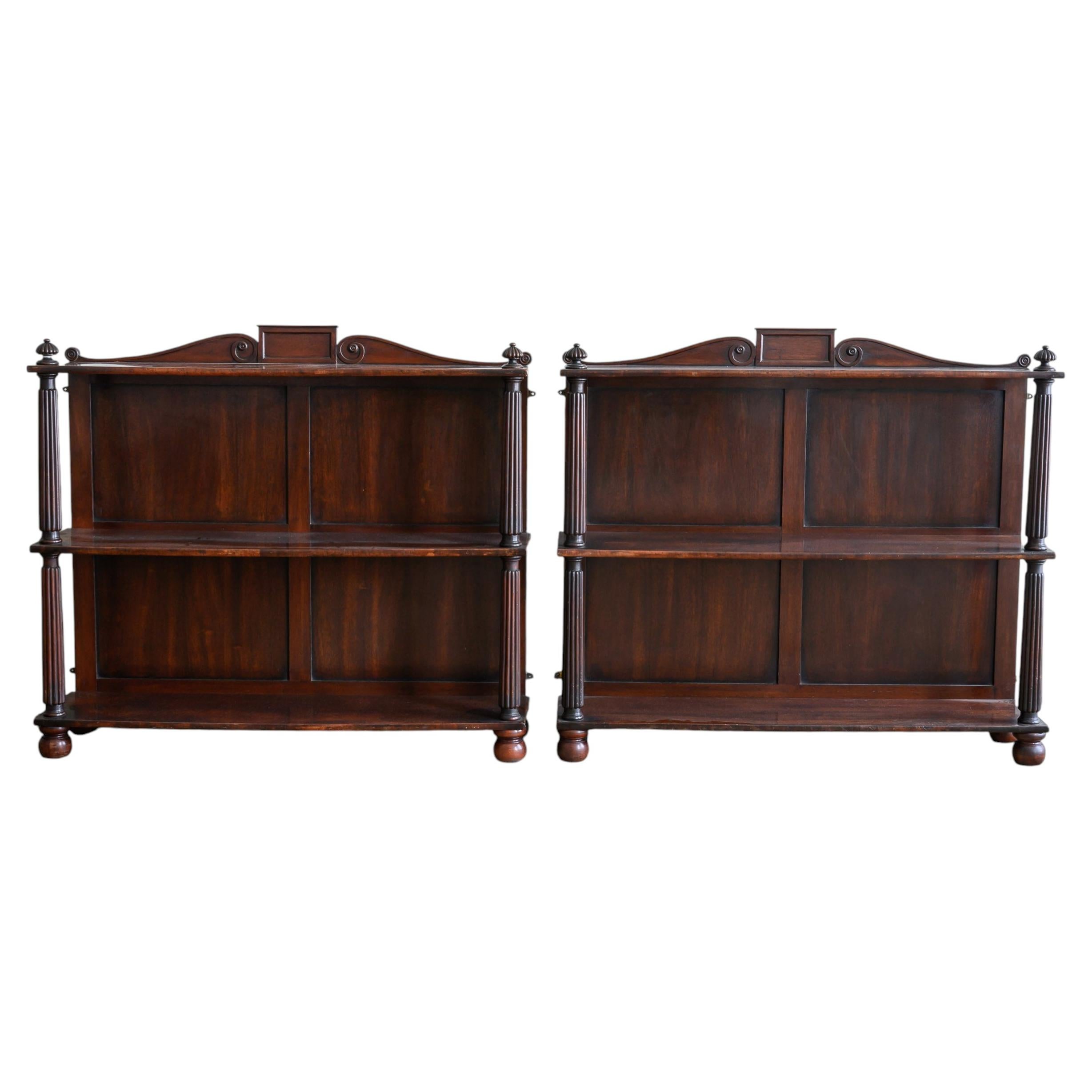 Pair of Nineteenth Century Mahogany Shelves For Sale