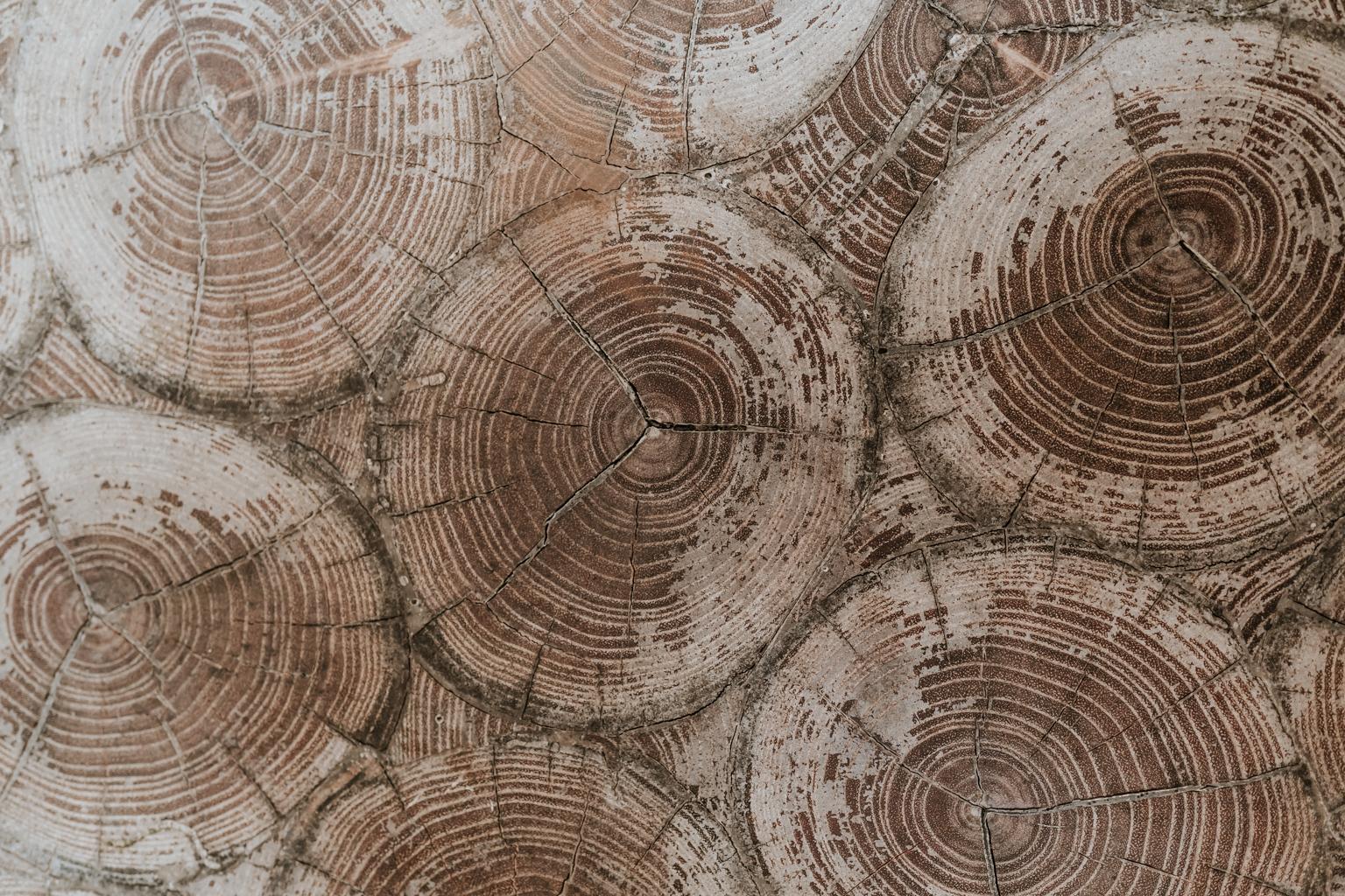 Une merveilleuse paire de petites tables, en bois d'acacia plaqué d'huîtres, très belle couleur et patine.