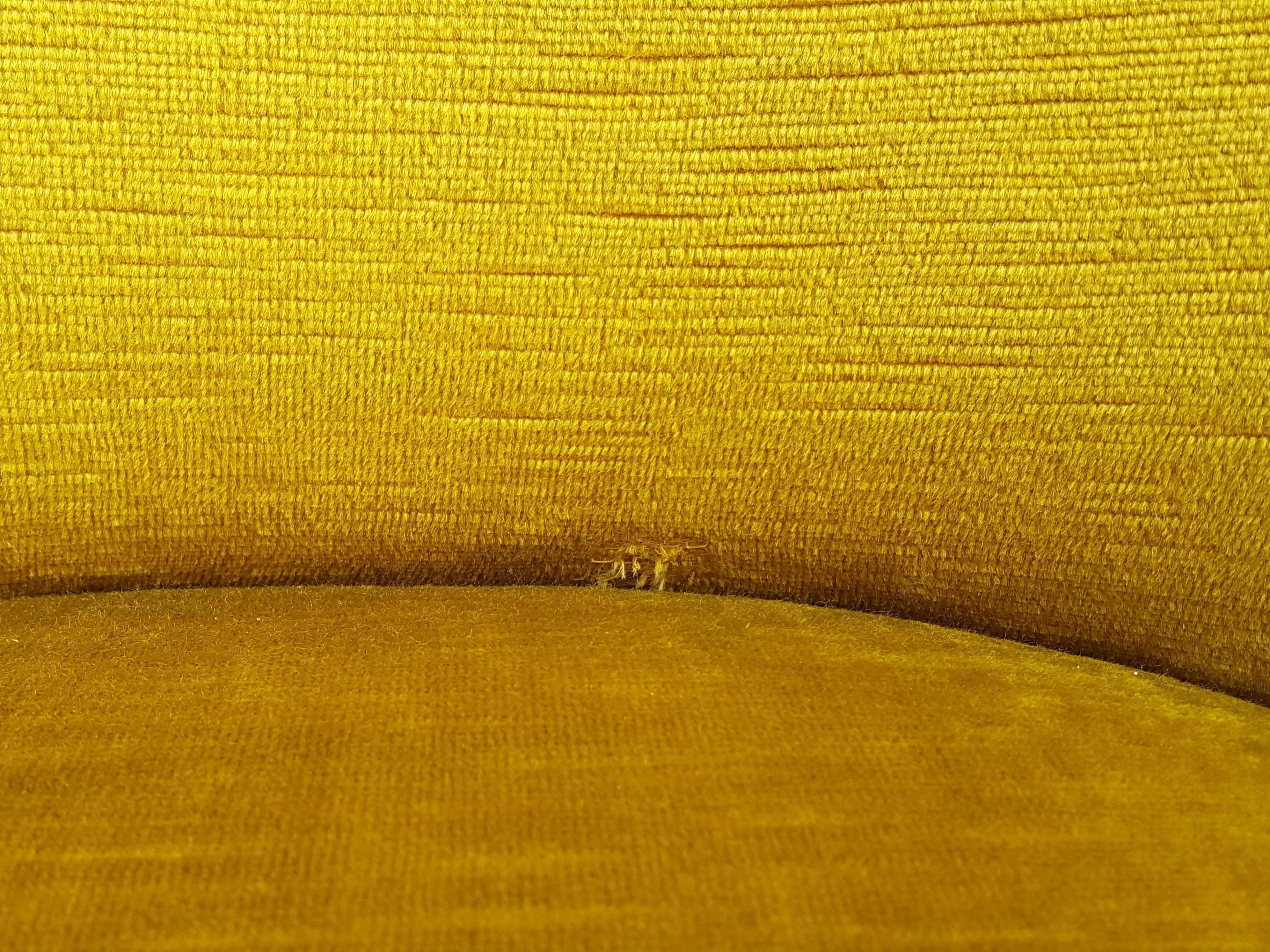 Pair of Ocra Yellow Velvet and Wood 1950s Perla Armchair by G. Veronesi for ISA For Sale 3