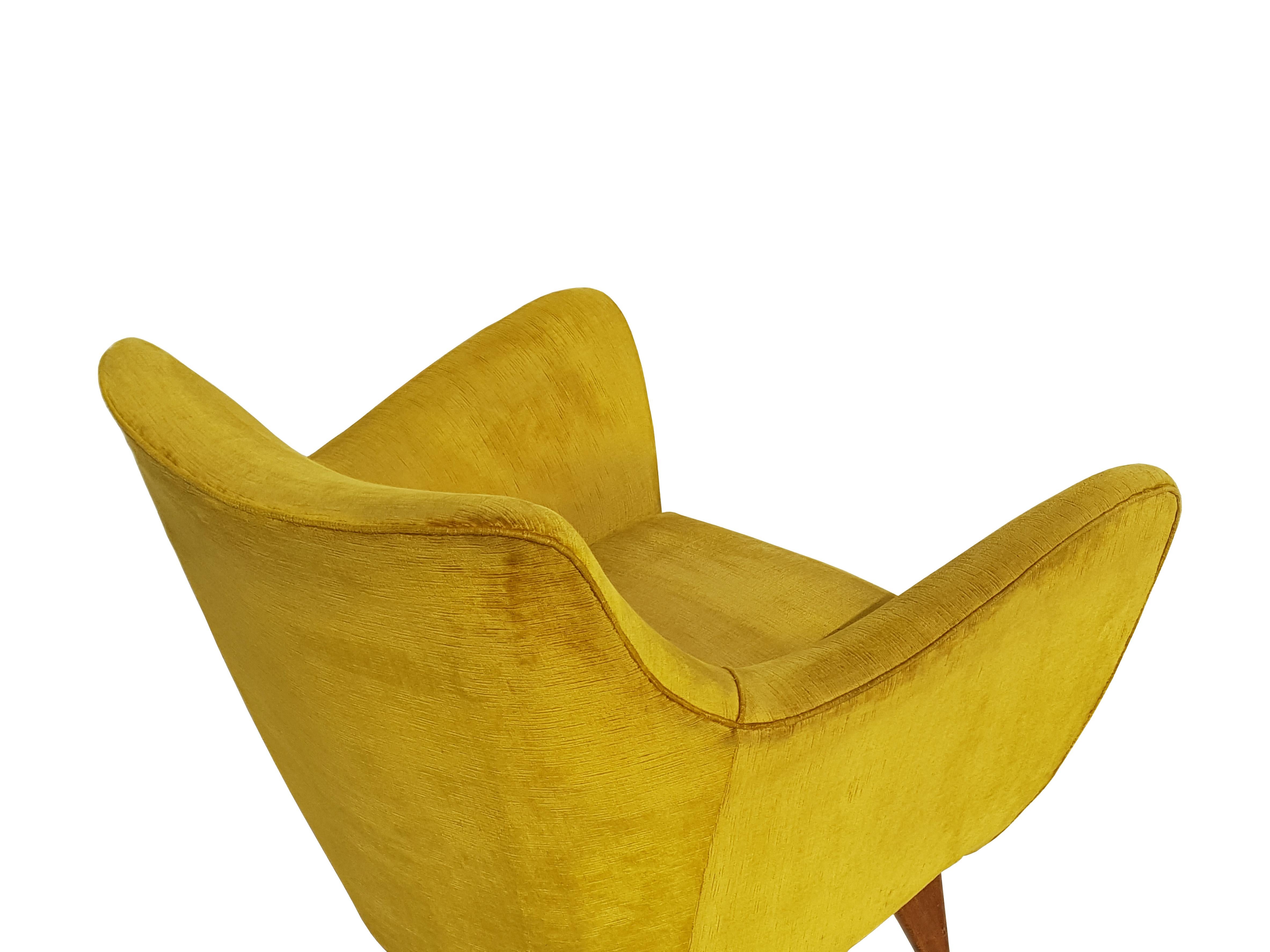 Pair of Ocra Yellow Velvet and Wood 1950s Perla Armchair by G. Veronesi for ISA For Sale 4