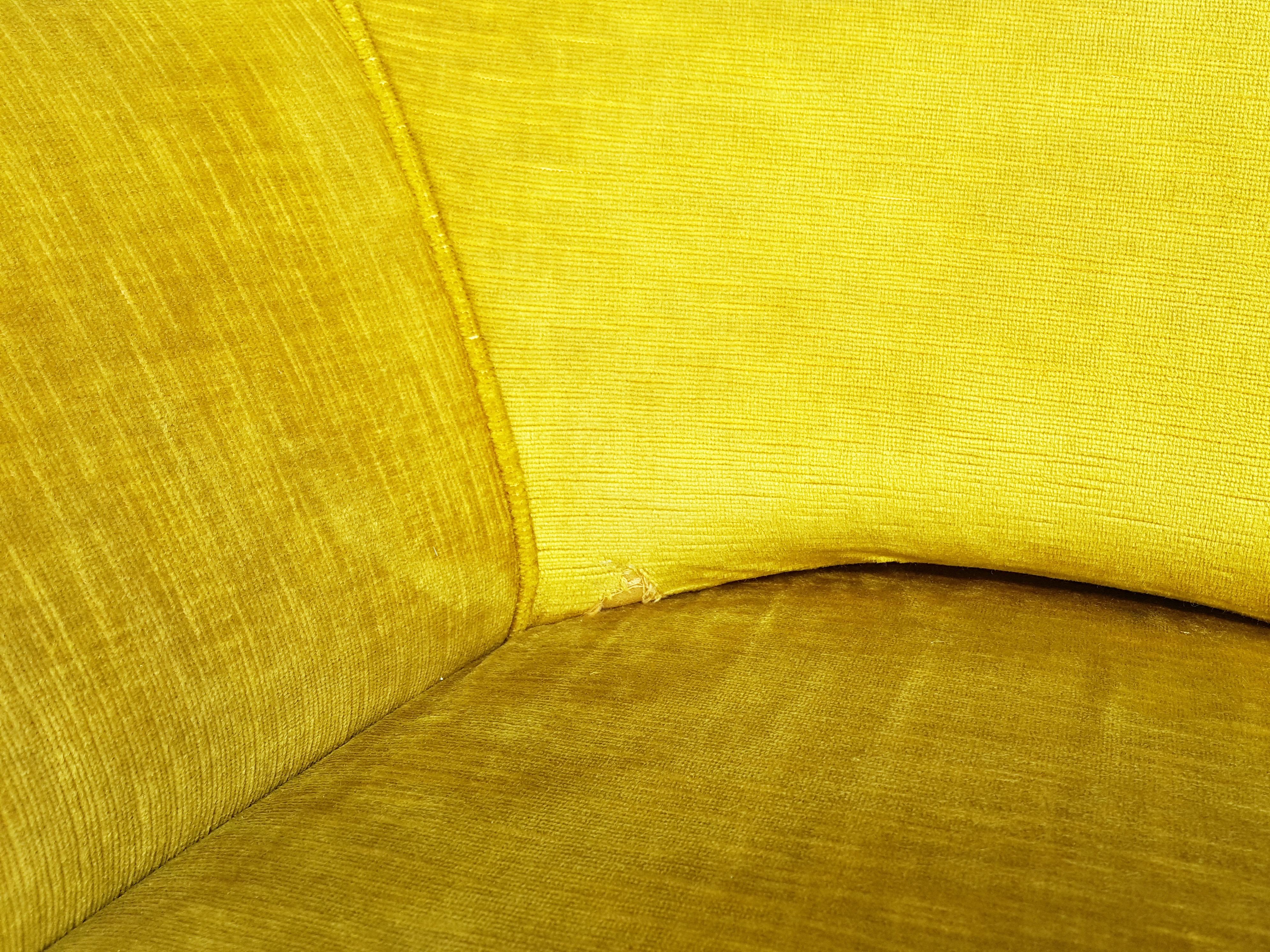 Pair of Ocra Yellow Velvet and Wood 1950s Perla Armchair by G. Veronesi for ISA For Sale 5