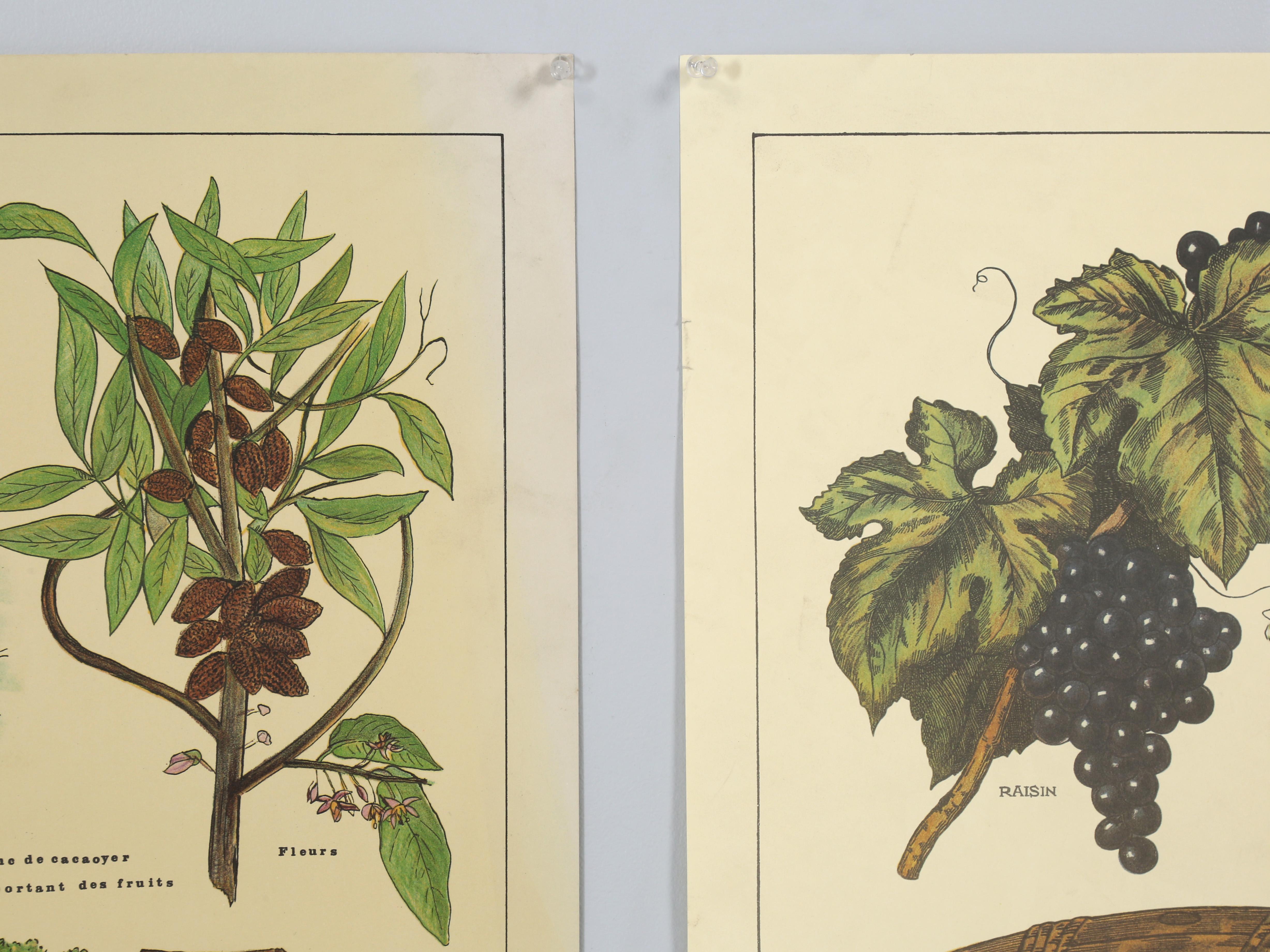 Mid-20th Century Pair of Old French Posters for Chocolate and Wine from Paris, France For Sale