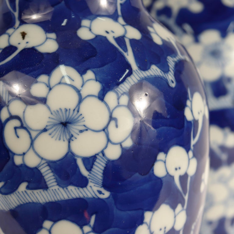 Pair of Old or Antique Chinese Baluster Form Prunus or Hawthorne ...