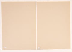 Coppia di antiche stampe ornitologiche