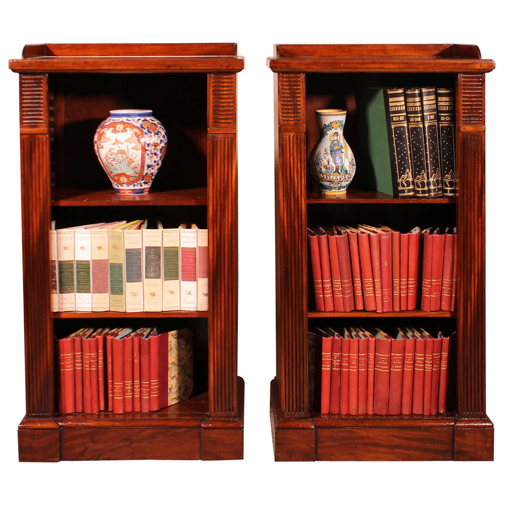 Pair of Open Bookcases from the Beginning of the 19th Century, William IV