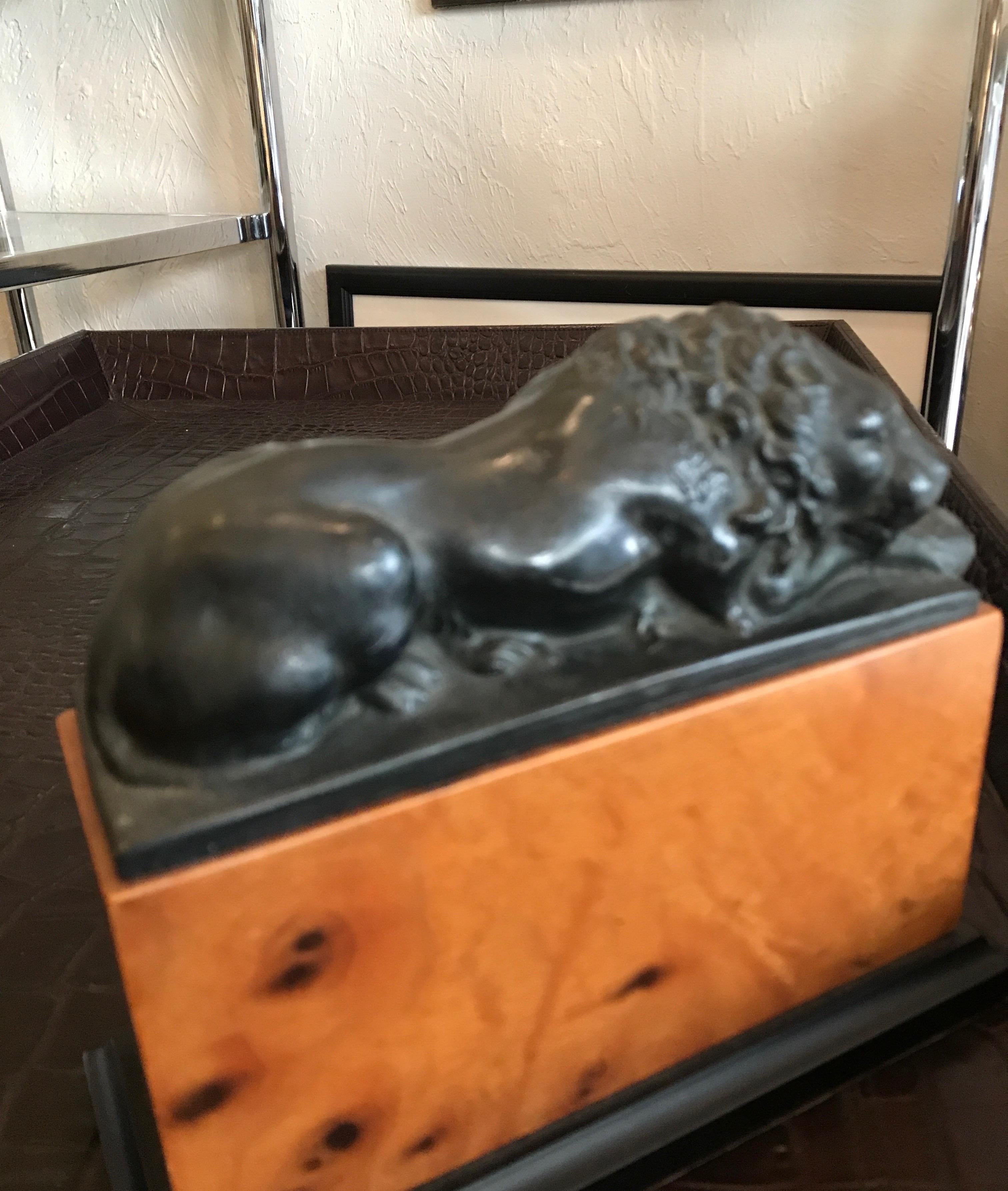 Burl Pair of Opposing Lion Bookends
