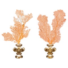 Paire d'éventails orange montés sur des socles en bois doré du 19e siècle
