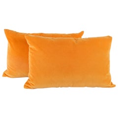 Pair of Orange Velvet Pillows