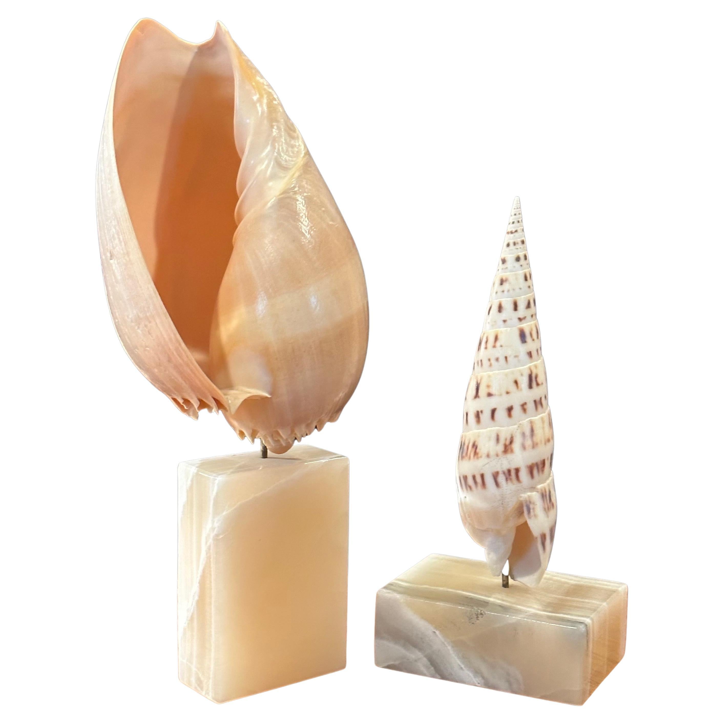 Paar organische skulpturale Muschelschalen auf Marmorsockeln von Les Hunter Designs im Angebot 6
