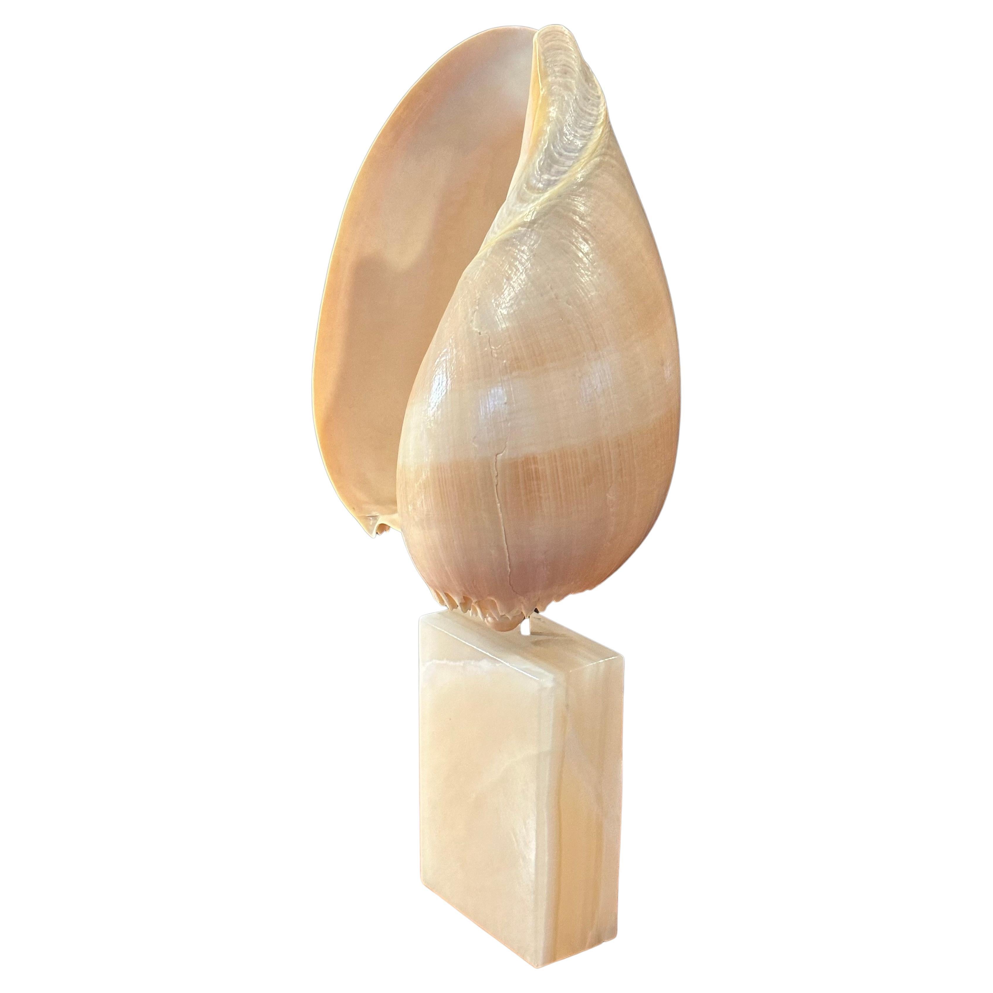 Hollywood Regency Pair of Organic Sculptural Sea Shells on Marble Bases by Les Hunter Designs For Sale