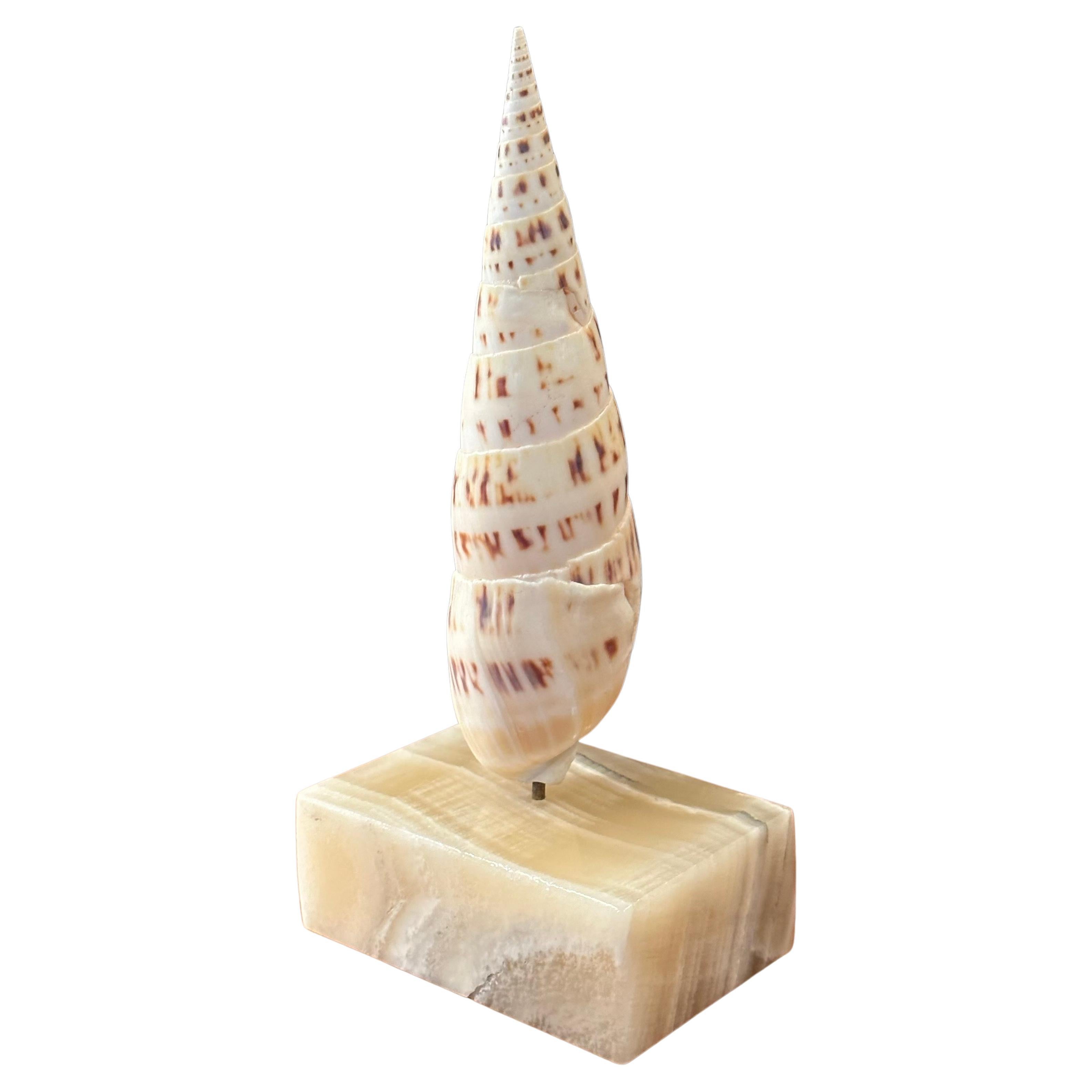 Américain Paire de coquillages de mer sculpturaux organiques sur socles en marbre par Les Hunter Designs