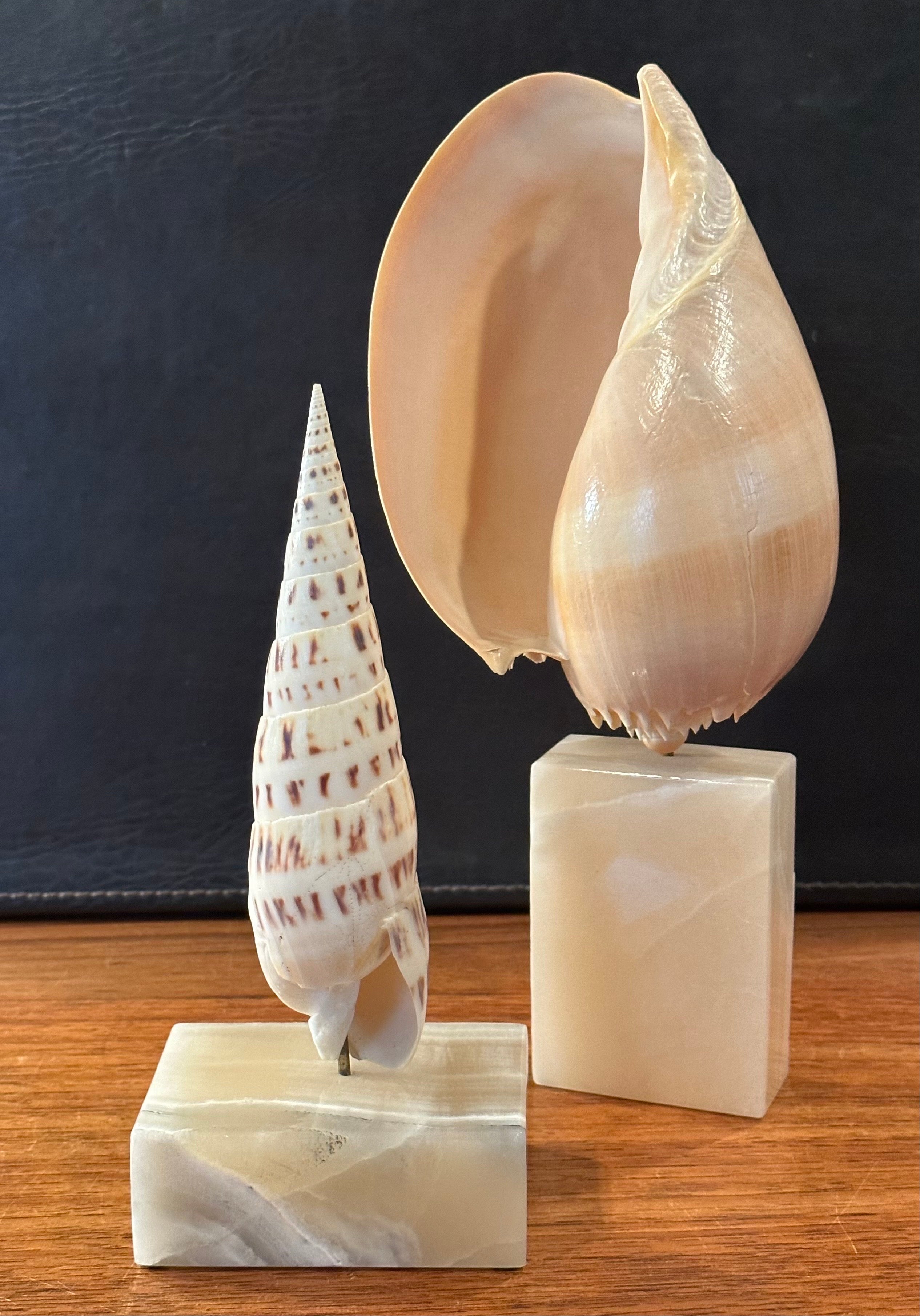 Pair of Organic Sculptural Sea Shells on Marble Bases by Les Hunter Designs In Good Condition For Sale In San Diego, CA