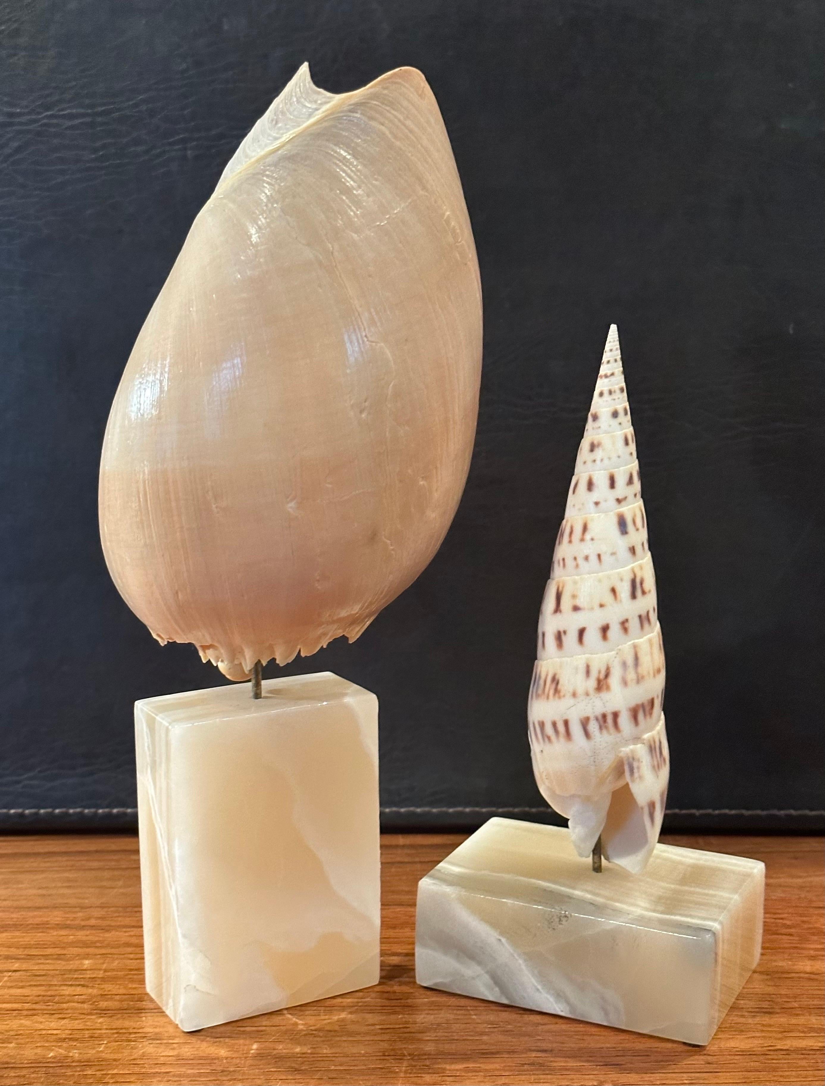 Paar organische skulpturale Muschelschalen auf Marmorsockeln von Les Hunter Designs im Angebot 1