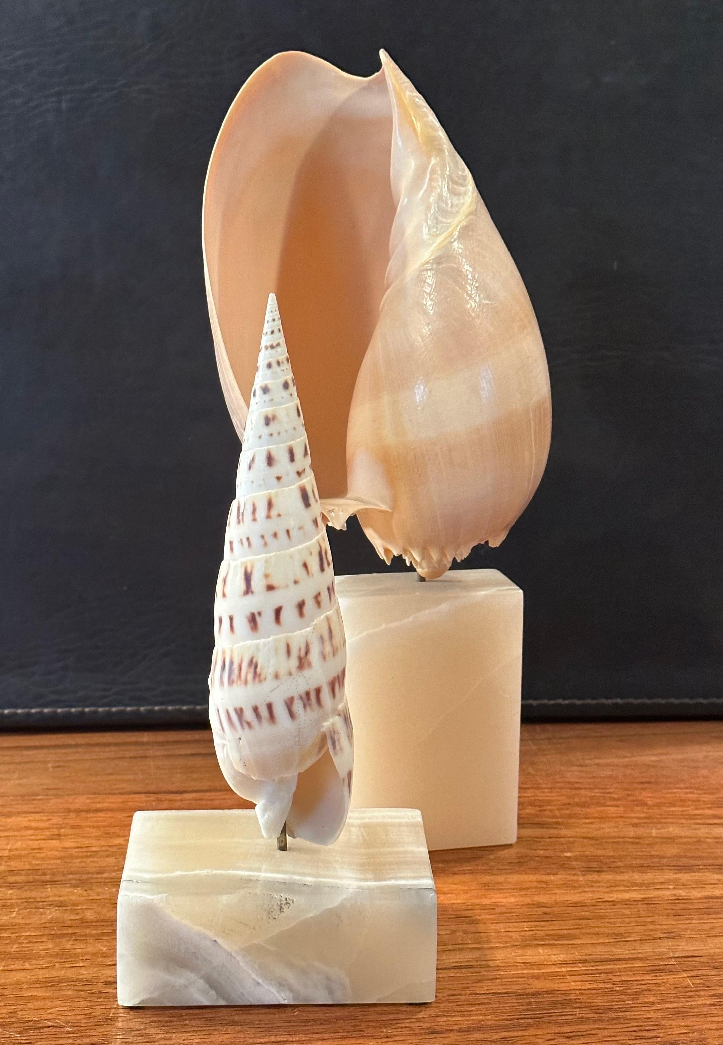 Paar organische skulpturale Muschelschalen auf Marmorsockeln von Les Hunter Designs im Angebot 2