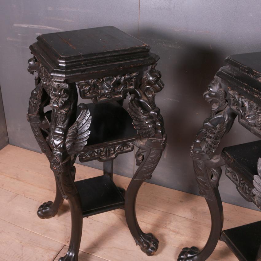 19th Century Pair of Oriental Country House Pedestals