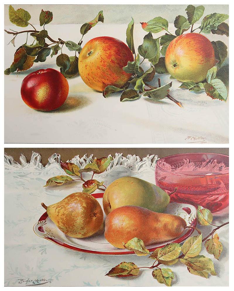 Magníficas imágenes de manzanas y peras

Litografías con color original.

Publicado, hacia 1900 

Sin enmarcar.








 