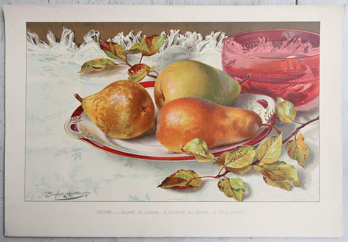 Pareja de Grabados Antiguos Originales de Frutas - Manzanas y Peras, C. 1900 Inglés en venta