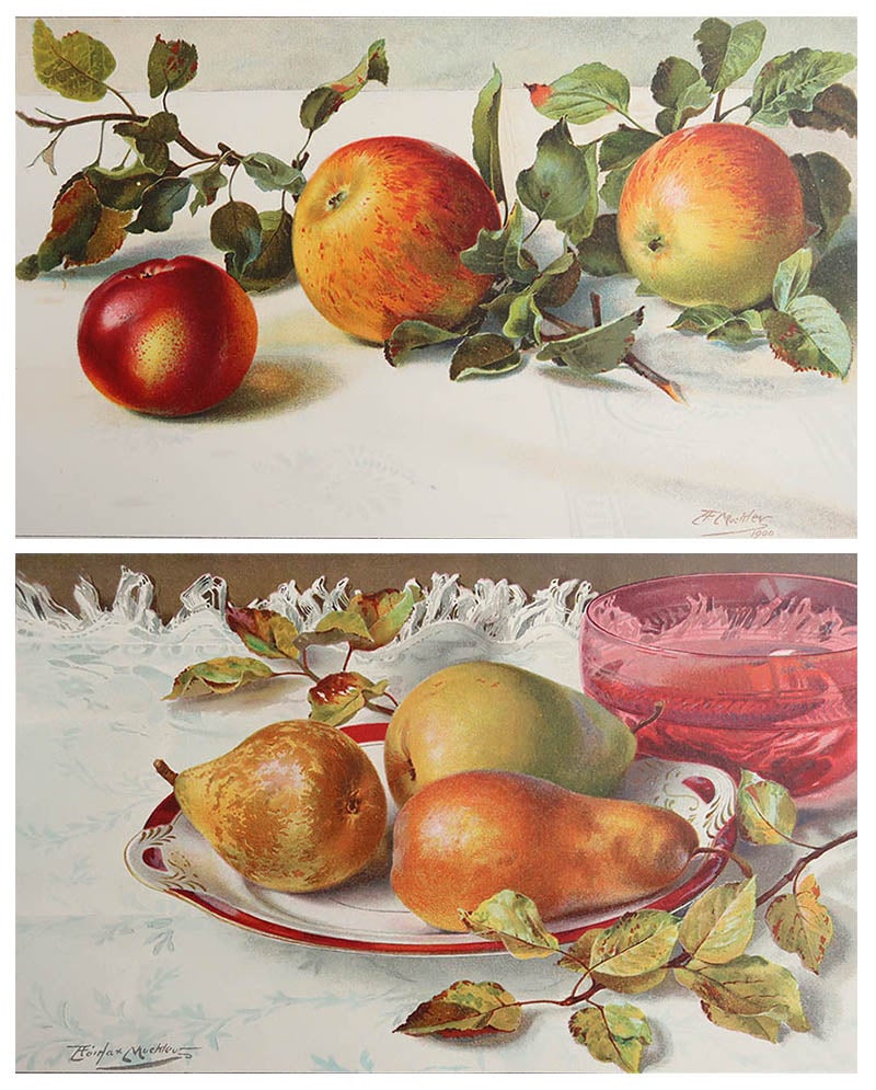 Pareja de Grabados Antiguos Originales de Frutas - Manzanas y Peras, C. 1900