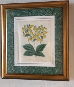 Pair of Antique Hand Colored Botanical Engravings, Floral Prints