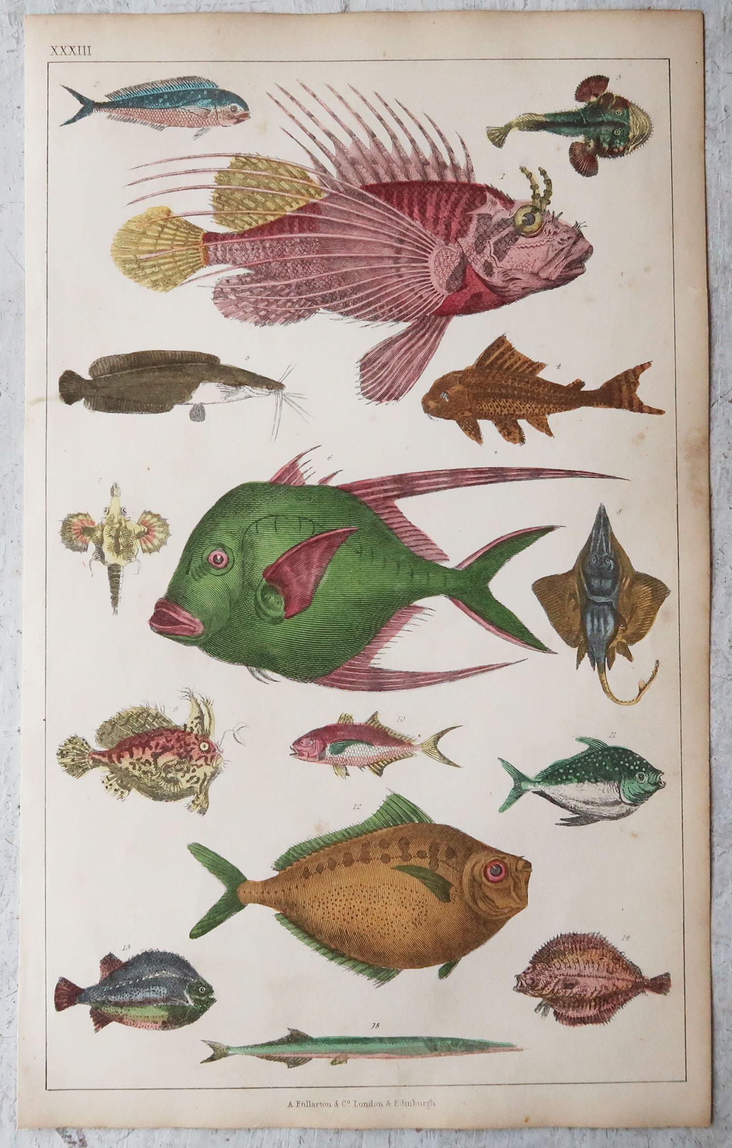 Folk Art Pair of Original Antique Prints of Fish, 1847