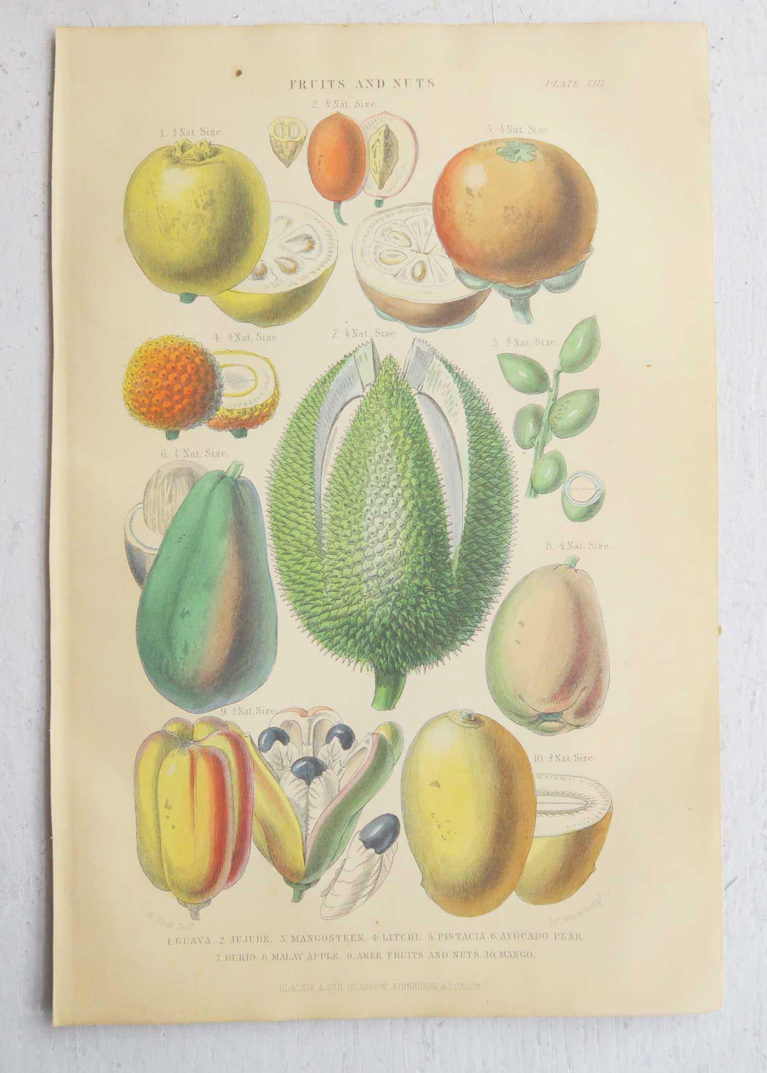 Victorian Pair of Original Antique Prints of Fruit After Walter Hood Fitch. C.1870 For Sale