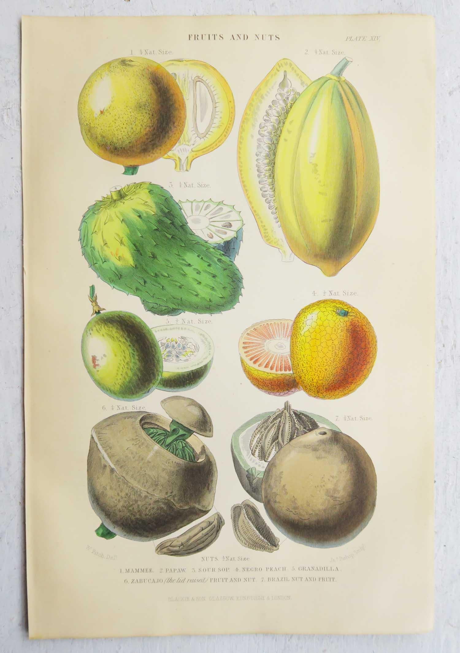 English Pair of Original Antique Prints of Fruit After Walter Hood Fitch. C.1870 For Sale