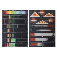 Pair of Original Antique Scientific Prints, C.1880