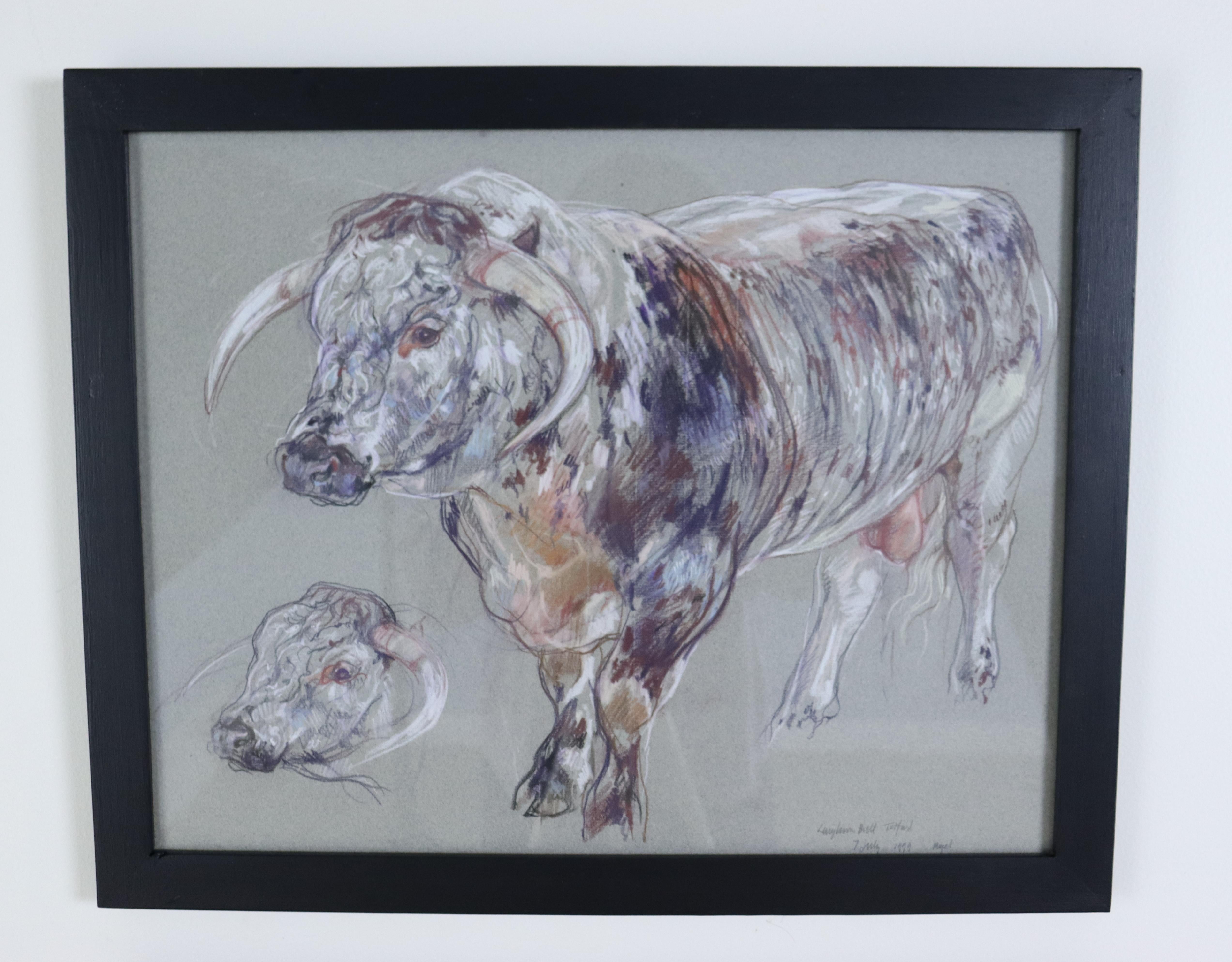 A pair of cow studies in charcoal and pastel, done by Leslie Charlotte Benenson (1941-2018), deceased Royal Academy artist in 1999. These appear to be, from the top, a Longhorn bull and his mate, a Longhorn cow. Highly decorative, they are slightly