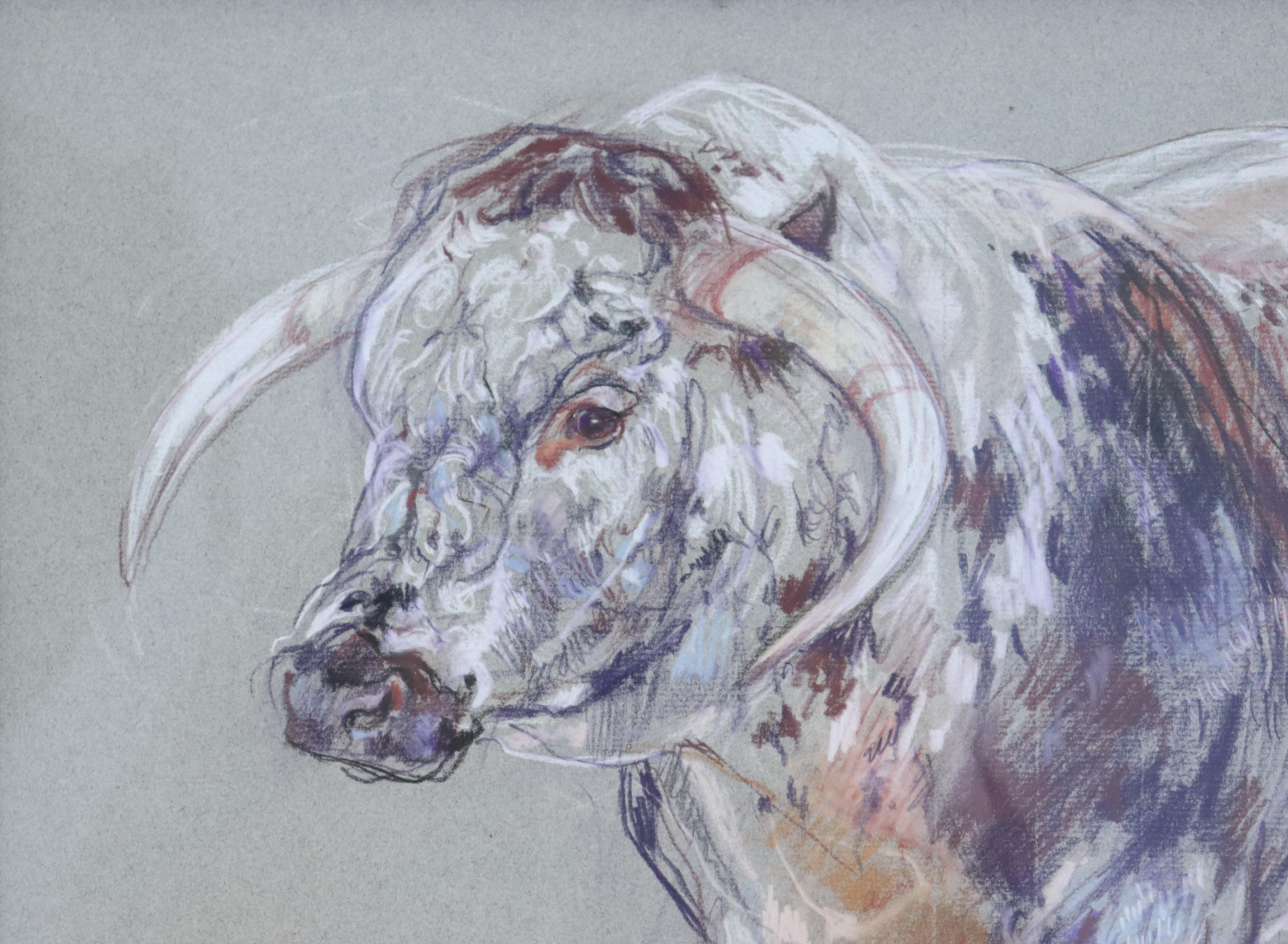 English Pair of Original Cow Drawings in Pastel by Leslie Charlotte Benenson - A For Sale