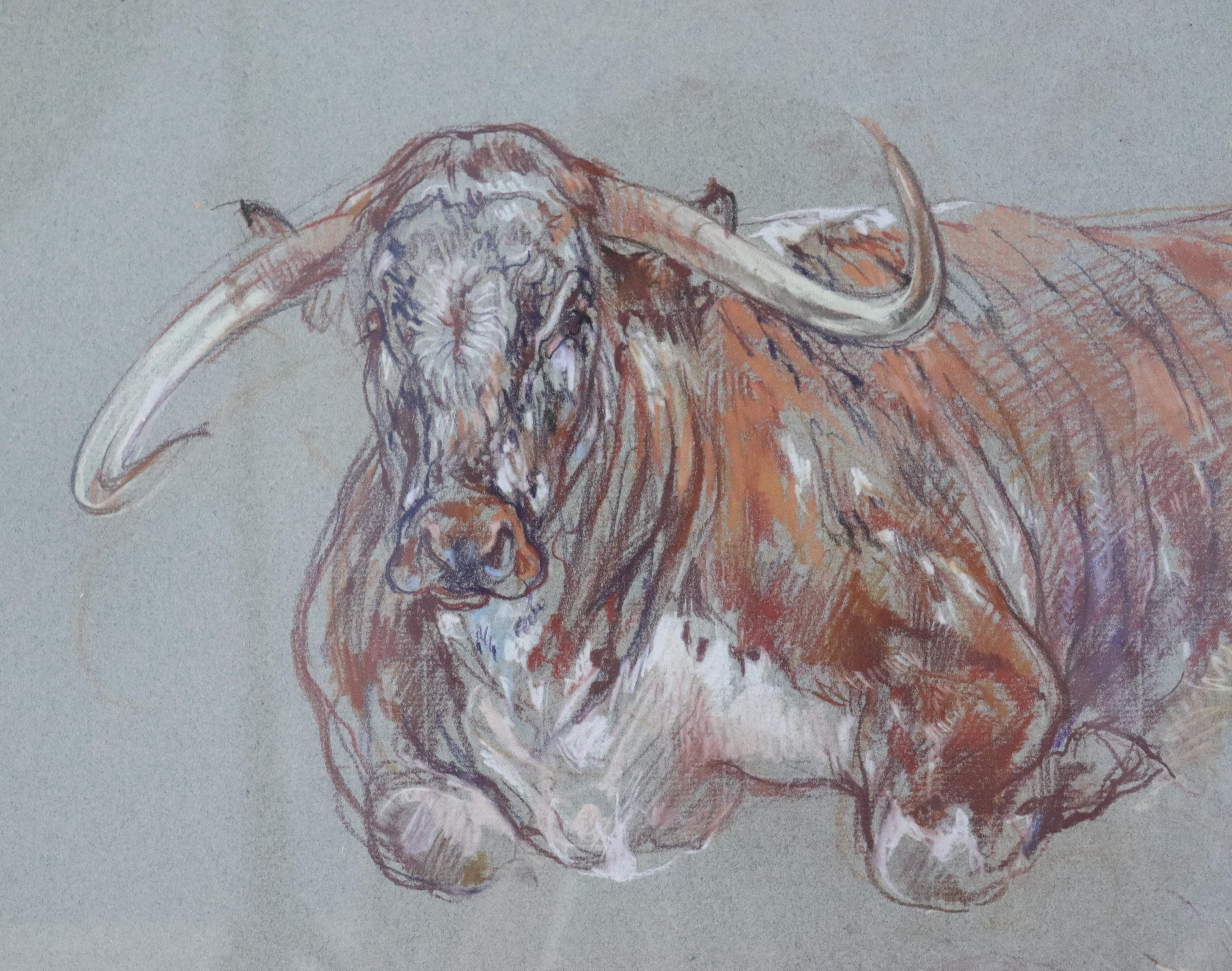 Pair of Original Cow Drawings in Pastel by Leslie Charlotte Benenson - A For Sale 1