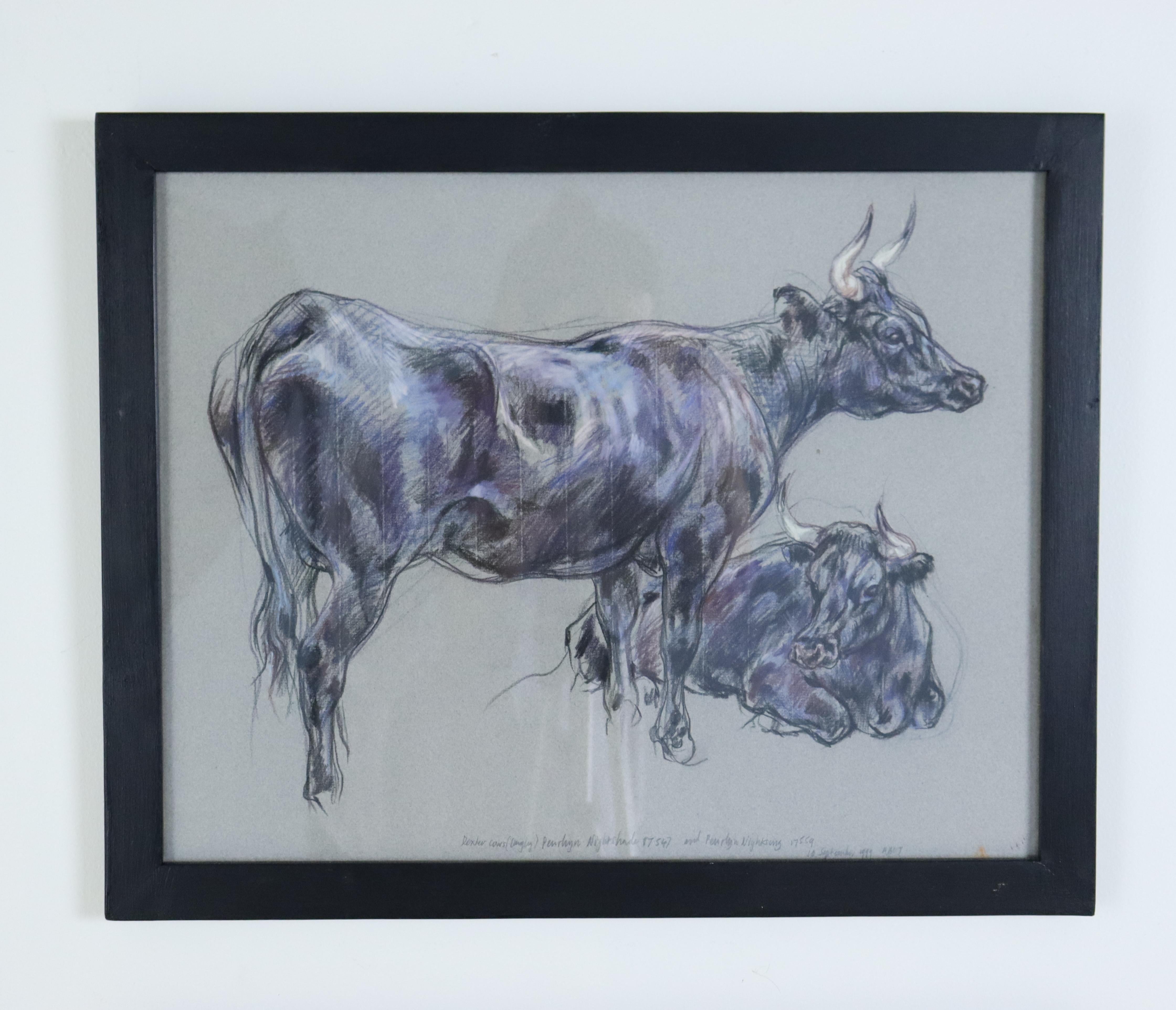 A pair of cow studies in charcoal and pastel,  Leslie Charlotte Benenson (1941-2018),  deceased Royal Academy artist in 1999. These appear to be, from the top, a Dexter cow and a Starland cow. Highly decorative, they are slightly more vibrant than
