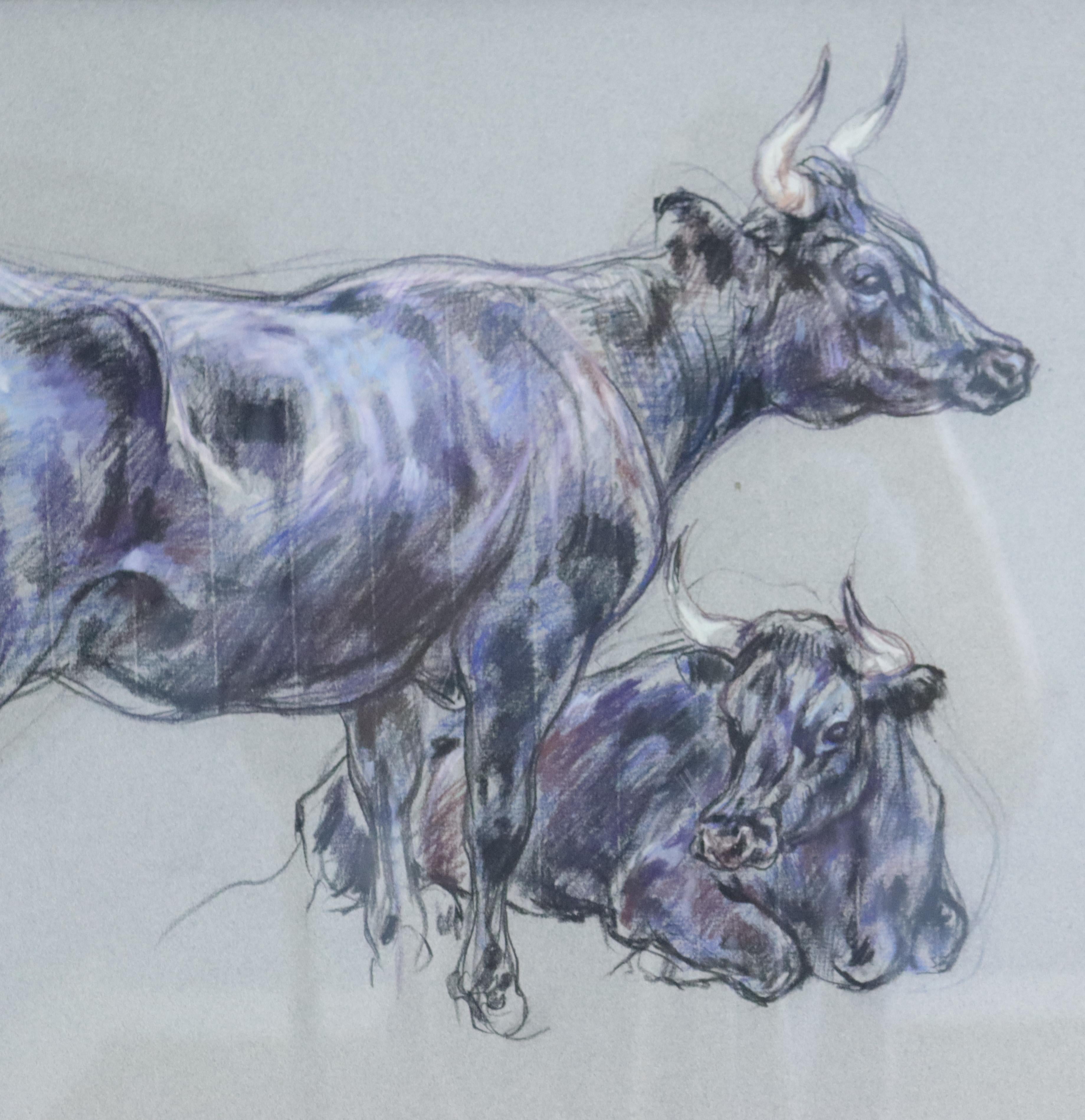 English Pair of Original Cow Drawings in Pastel by Leslie Charlotte Benenson -B For Sale