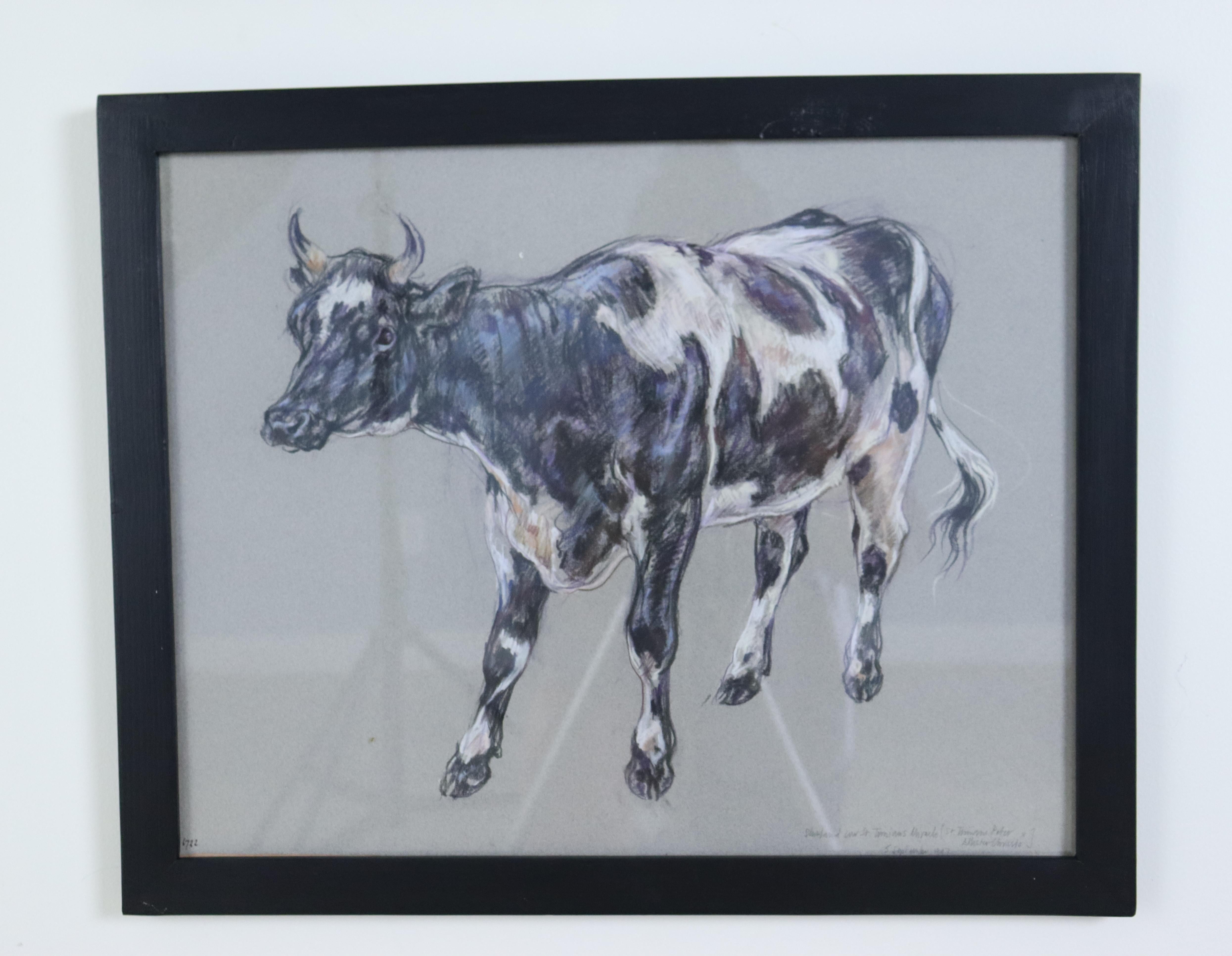 Paper Pair of Original Cow Drawings in Pastel by Leslie Charlotte Benenson -B For Sale