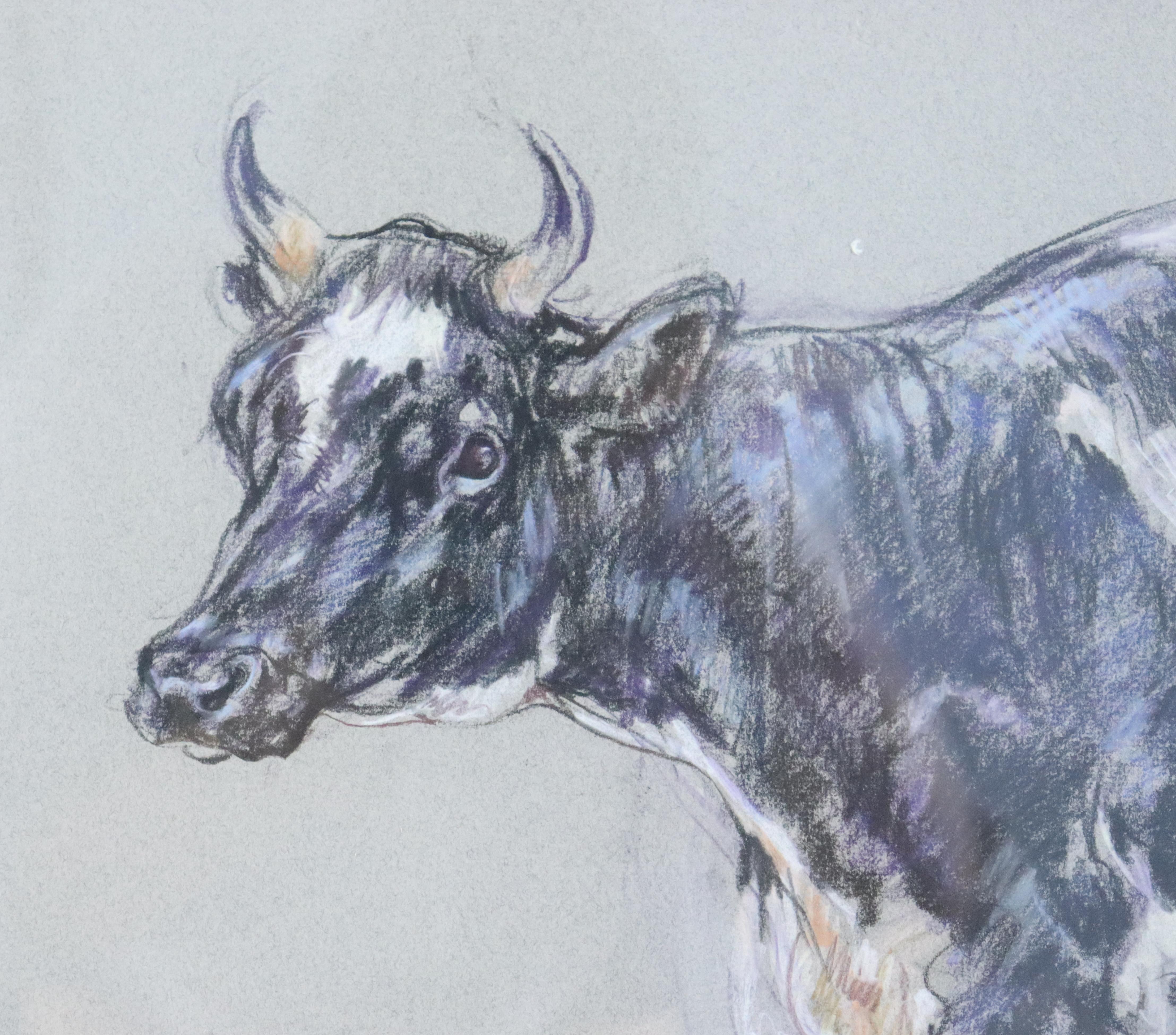Pair of Original Cow Drawings in Pastel by Leslie Charlotte Benenson -B For Sale 1
