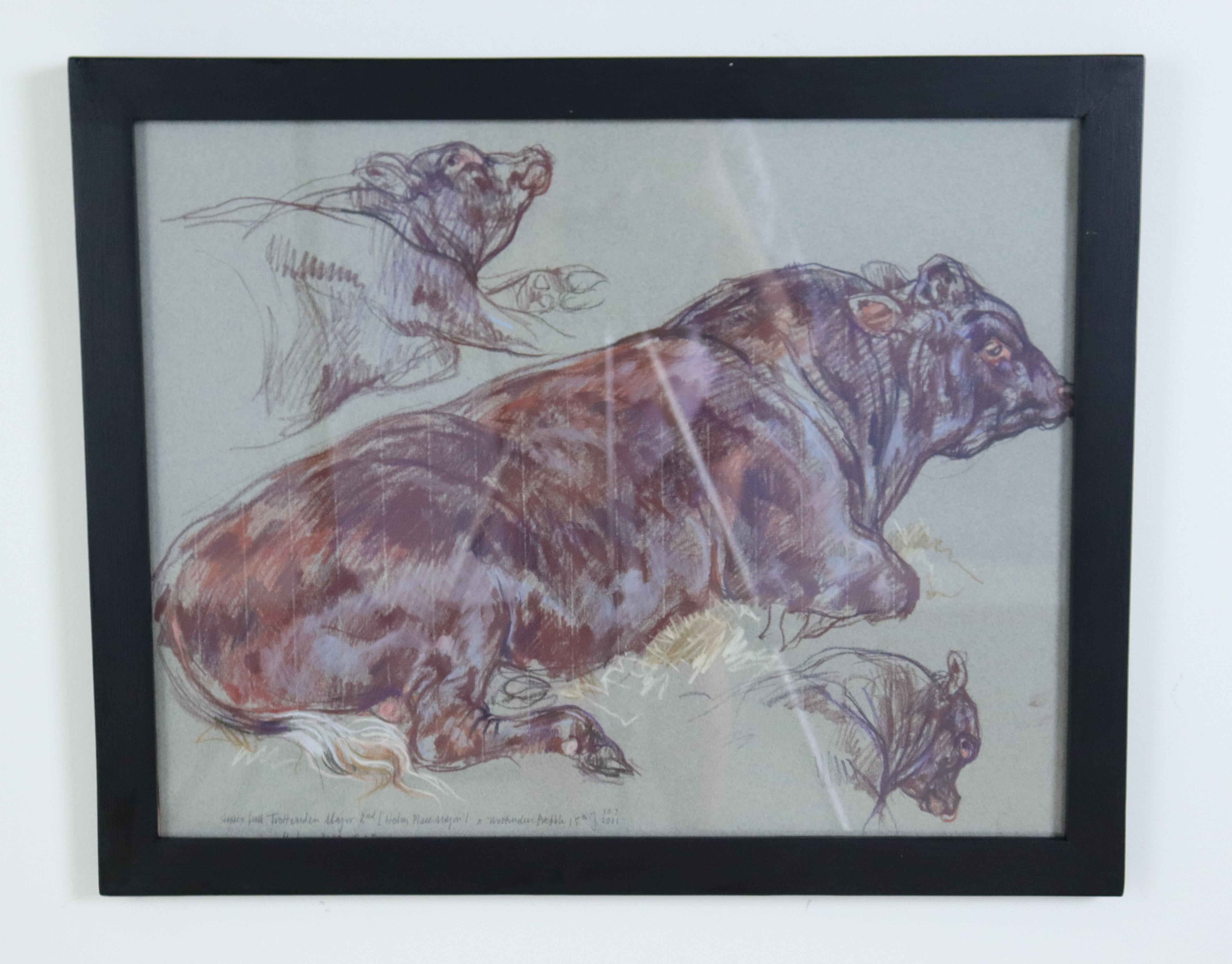 Paper Pair of Original Cow Drawings in Pastel by Leslie Charlotte Benenson -C For Sale
