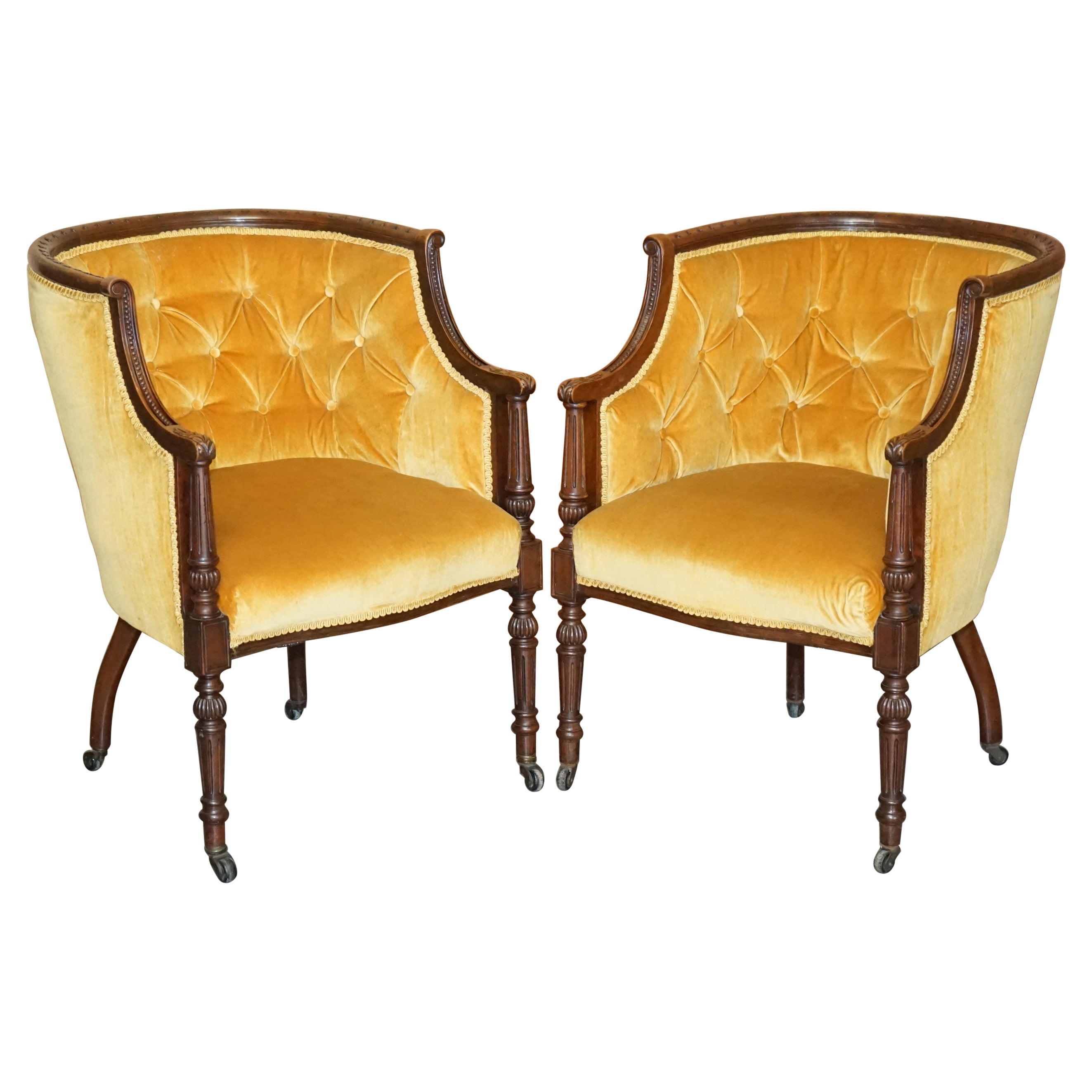 Pair of Original Late Regency Carved Hardwood Framed Velour Tub Armchairs
