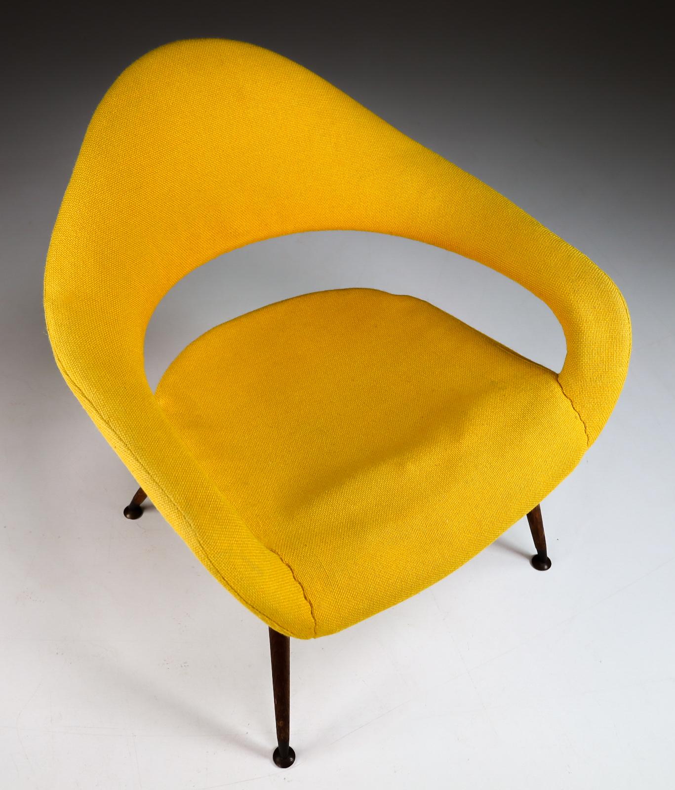 Pair of Original Lounge Chairs by Gastone Rinaldi Armchair DU 55 P, Italy, 1954 2