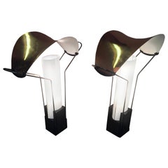Pair of Original 'Palio' Lamps by Perry King and Santiago Miranda for Arteluce