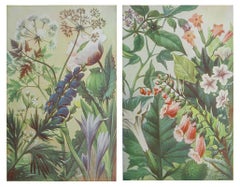 Pair of Original Vintage Botanical Prints, circa 1900