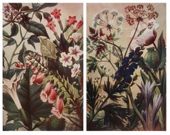 Pair of Original Vintage Botanical Prints, circa 1900